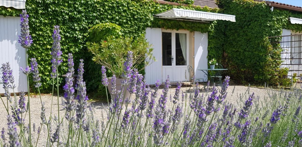 Le Clos-Lascazes Maison D'Hotes Le Buisson-de-Cadouin Экстерьер фото